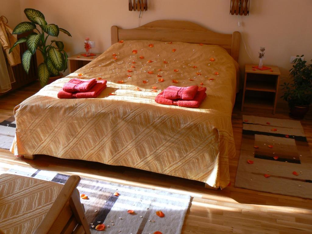 טימיסול דה ג'וס Casa Anca Boutique Hotel חדר תמונה