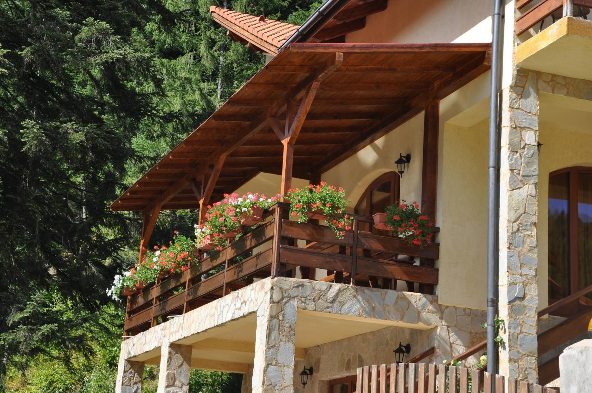 טימיסול דה ג'וס Casa Anca Boutique Hotel מראה חיצוני תמונה