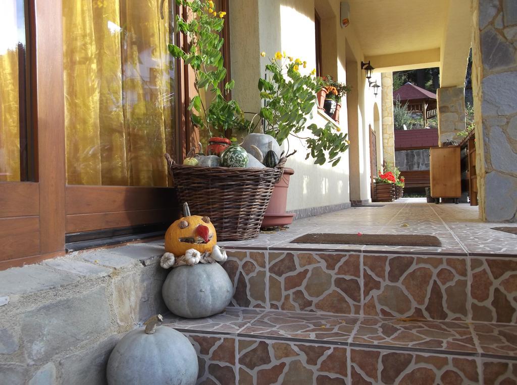 טימיסול דה ג'וס Casa Anca Boutique Hotel מראה חיצוני תמונה