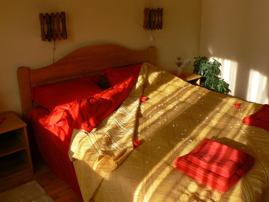 טימיסול דה ג'וס Casa Anca Boutique Hotel מראה חיצוני תמונה