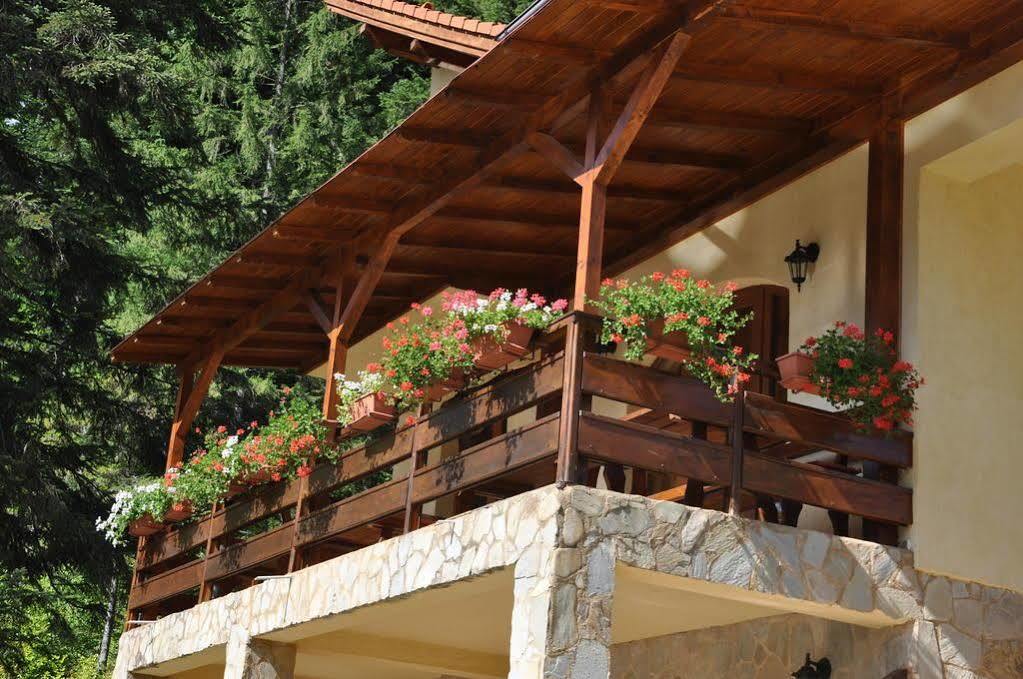 טימיסול דה ג'וס Casa Anca Boutique Hotel מראה חיצוני תמונה